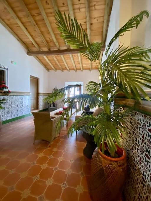 Casa Del Marques *