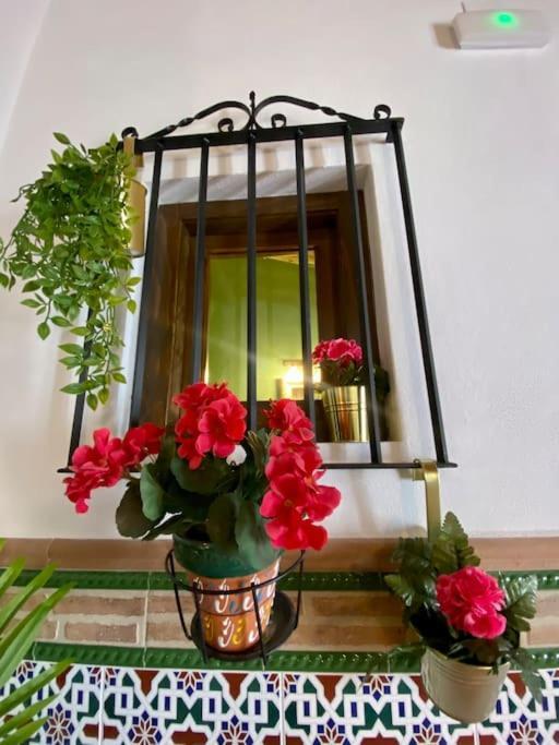 Apartament Casa Del Marques Fregenal de la Sierra