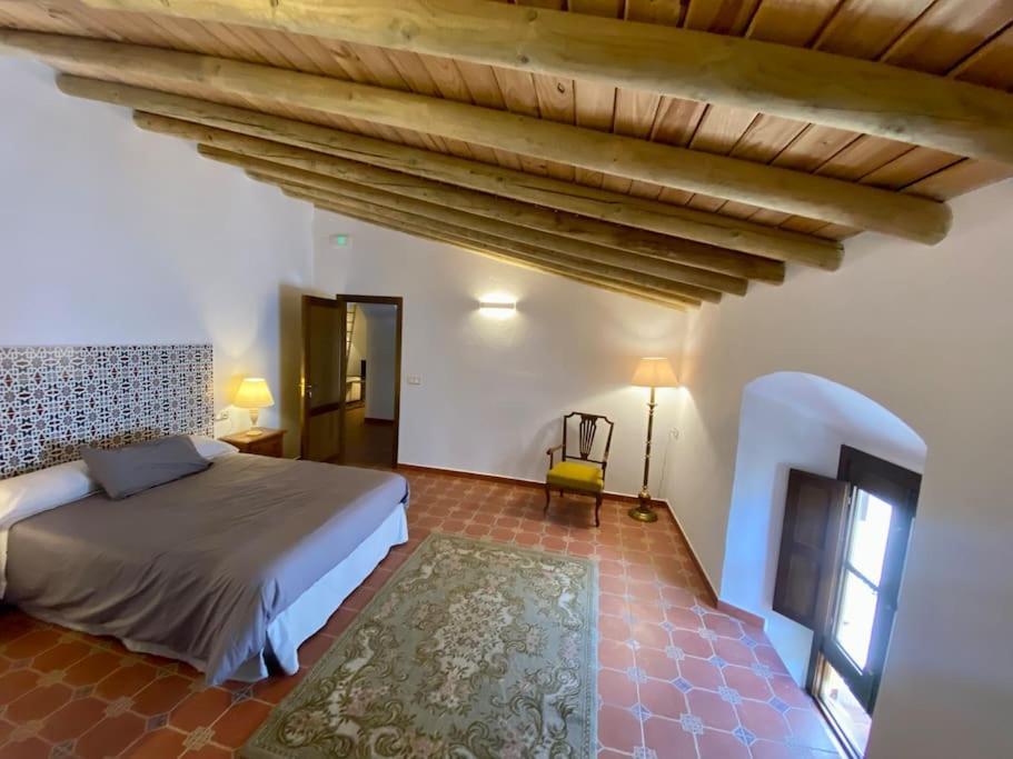 Apartament Casa Del Marques *