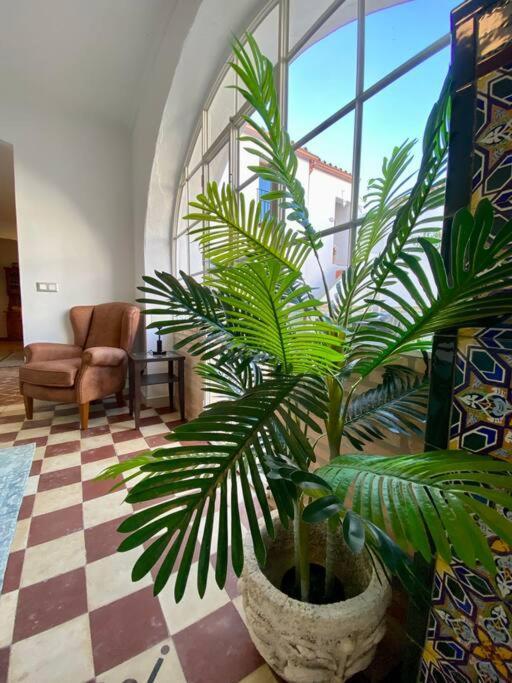 Casa Del Marques Apartment *