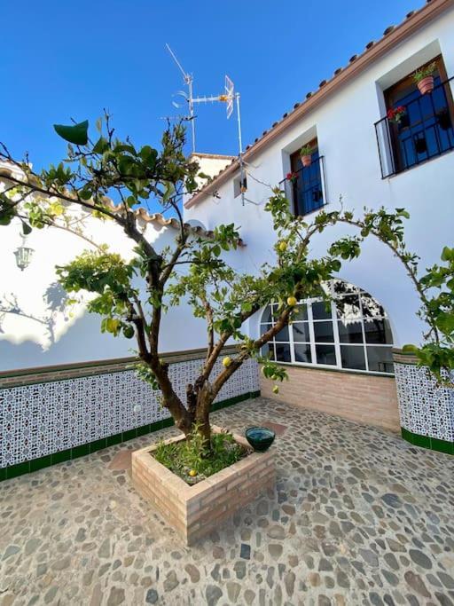 Casa Del Marques Fregenal de la Sierra