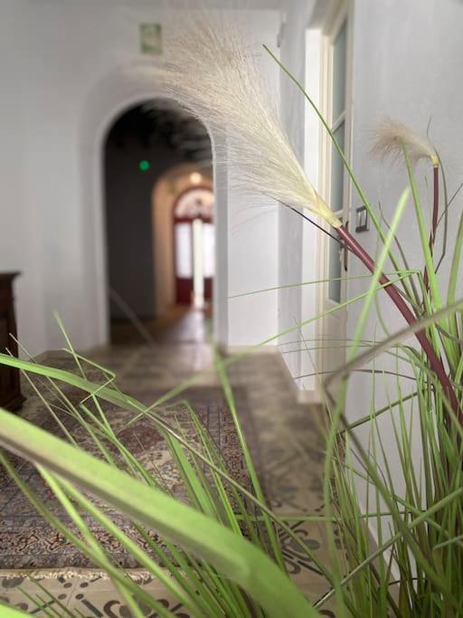 Casa Del Marques Fregenal de la Sierra