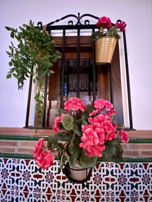 Casa Del Marques Apartment Fregenal de la Sierra