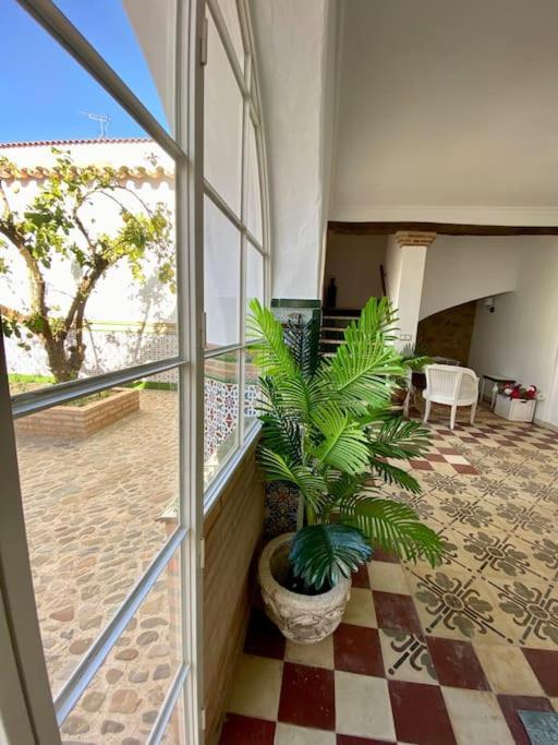 Apartment Casa Del Marques