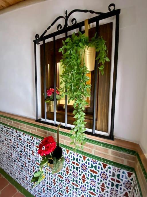 Casa Del Marques