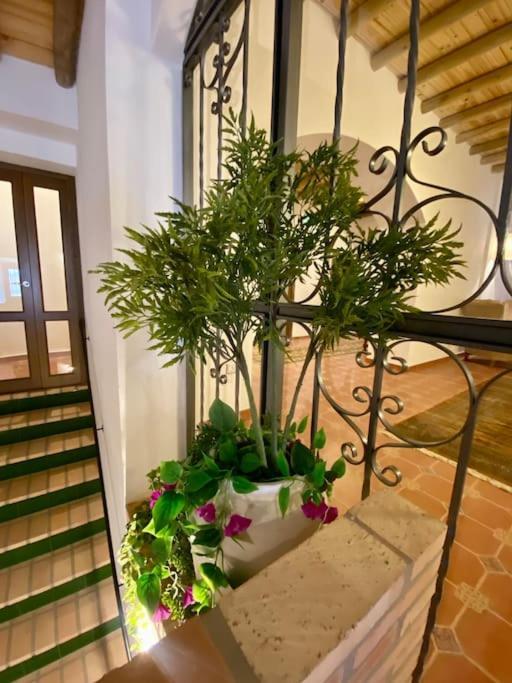 Casa Del Marques Apartament