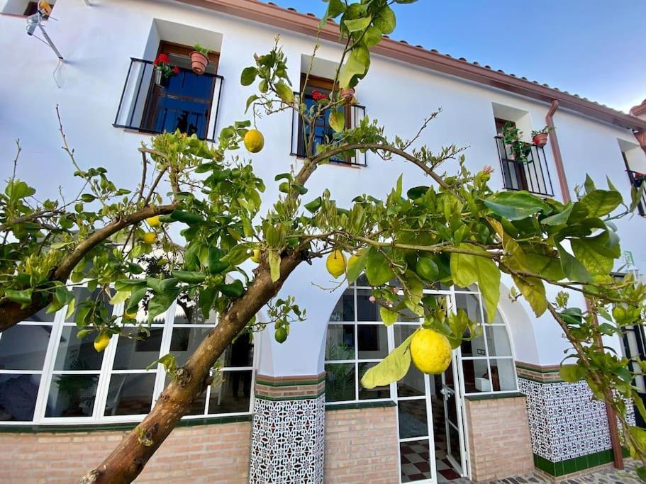 Casa Del Marques *