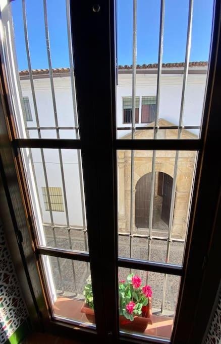 Casa Del Marques *